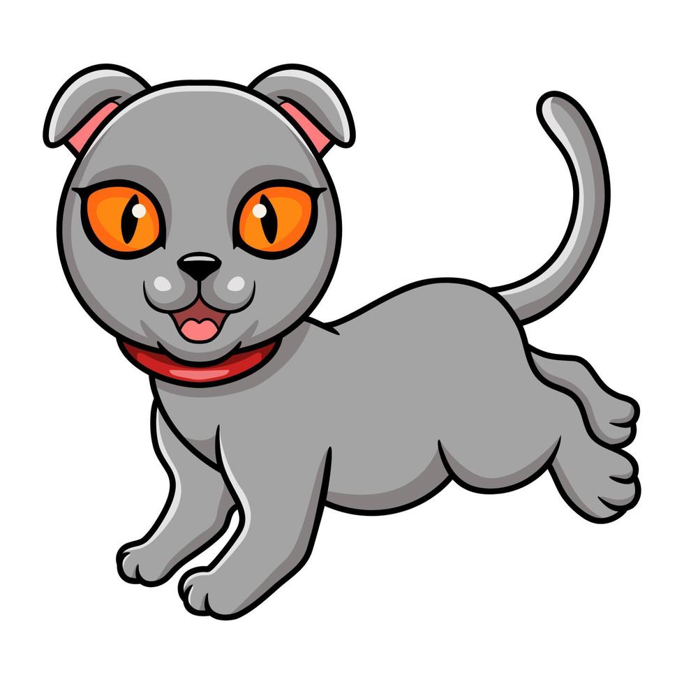 dessin animé mignon chat scottish fold vecteur