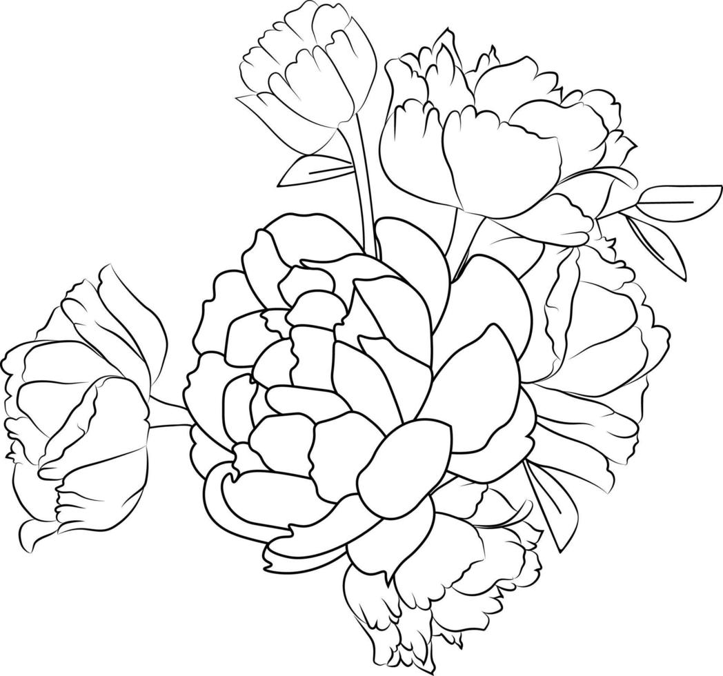 modèle vectoriel floral facile dans le style de croquis de fleurs de pivoine.