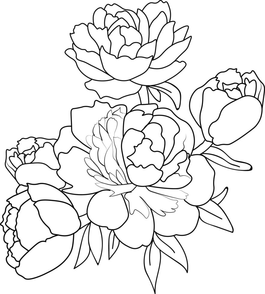 croquis de vecteur flwoer pivoine fleur, motif floral vectoriel monochrome dessiné à la main. illustration de croquis avec des fleurs. conception de fleurs pour carte ou impression, illustration de fleurs peintes à la main isoler sur blanc.