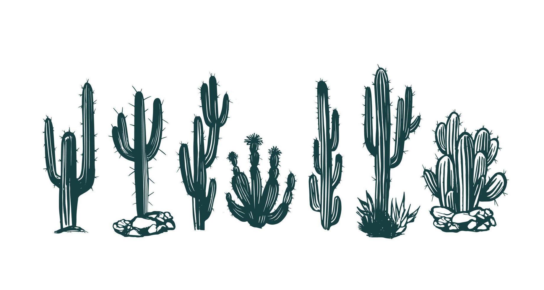 ensemble de cactus illustrations dessinées à la main, vecteur