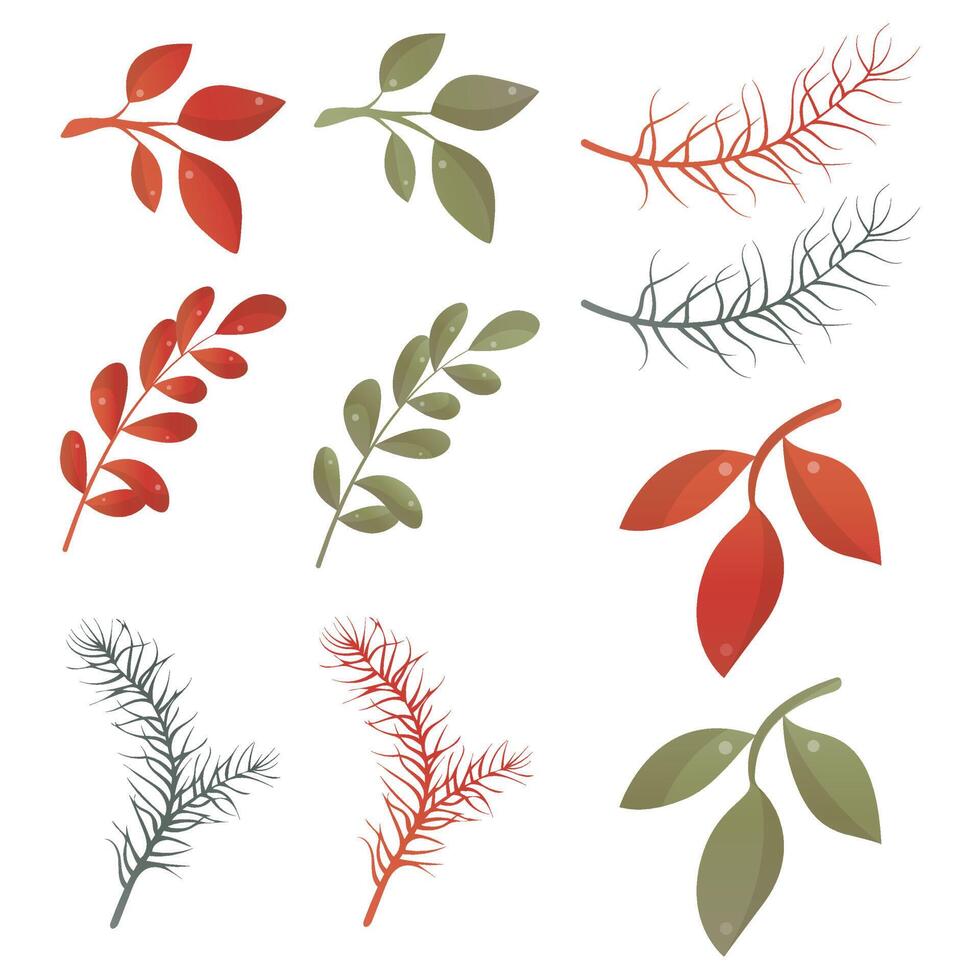 collection de branches avec des feuilles vertes et rouges de différentes formes vecteur