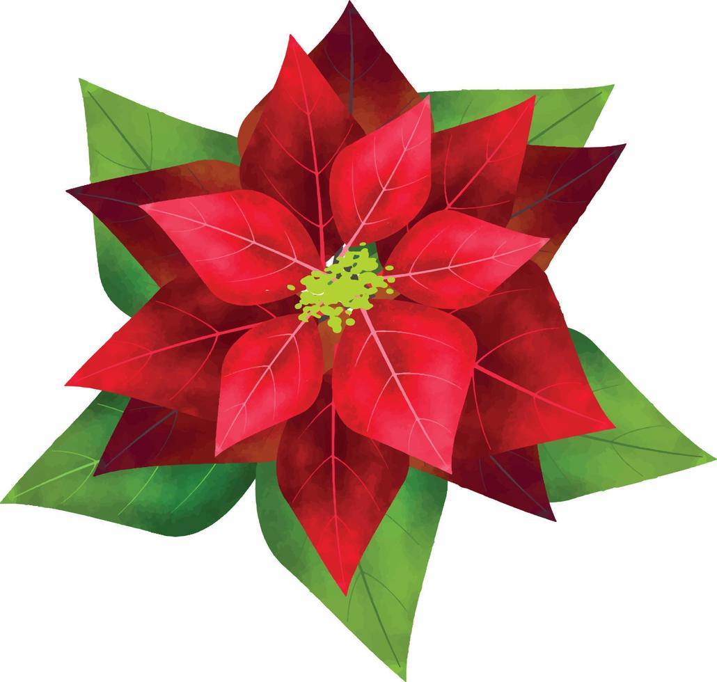 fleur de poinsettia joyeux noël, peut être utilisé ce graphique pour tout type de marchandise. il est parfait pour tout emballage de projet, papeterie, tasses, sacs, oreillers, t-shirts, etc. tout ce que vous voulez vecteur