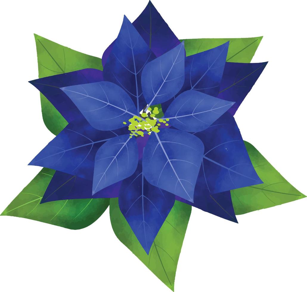 fleur de poinsettia joyeux noël, fleur de différentes couleurs, peut être utilisé ce graphique pour tout type de marchandise. il est parfait pour tout emballage de projet, tasses, sacs, t-shirts, etc. tout ce que vous voulez vecteur