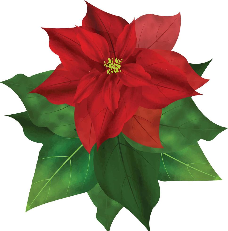 fleur de poinsettia joyeux noël, peut être utilisé ce graphique pour tout type de marchandise. il est parfait pour tout emballage de projet, papeterie, tasses, sacs, oreillers, t-shirts, etc. tout ce que vous voulez vecteur