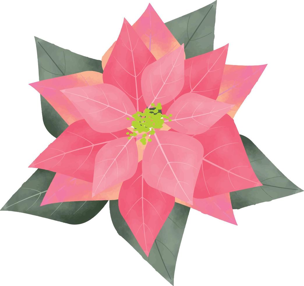 fleur de poinsettia joyeux noël, fleur de différentes couleurs, peut être utilisé ce graphique pour tout type de marchandise. il est parfait pour tout emballage de projet, tasses, sacs, t-shirts, etc. tout ce que vous voulez vecteur