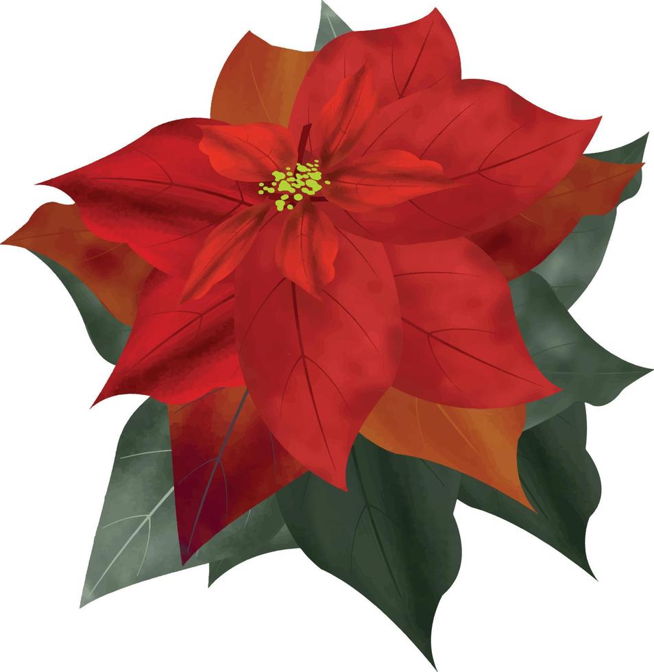 fleur de poinsettia joyeux noël, peut être utilisé ce graphique pour tout type de marchandise. il est parfait pour tout emballage de projet, papeterie, tasses, sacs, oreillers, t-shirts, etc. tout ce que vous voulez vecteur