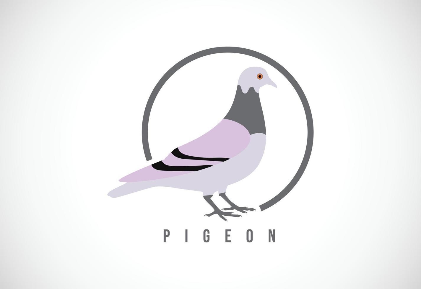 pigeon en cercle. illustration vectorielle de modèle de conception de logo de pigeon vecteur