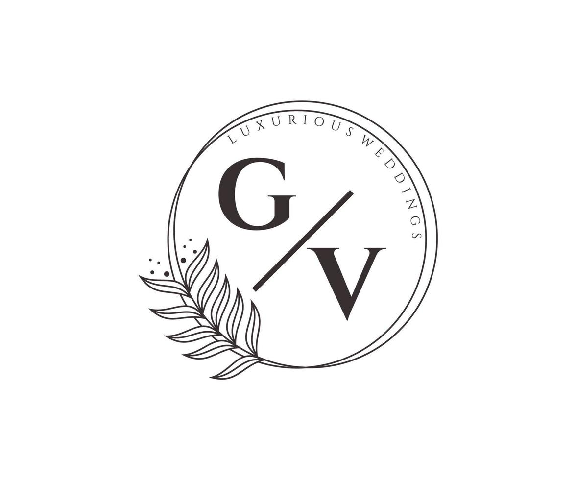 modèle de logos de monogramme de mariage lettre initiales gv, modèles minimalistes et floraux modernes dessinés à la main pour cartes d'invitation, réservez la date, identité élégante. vecteur