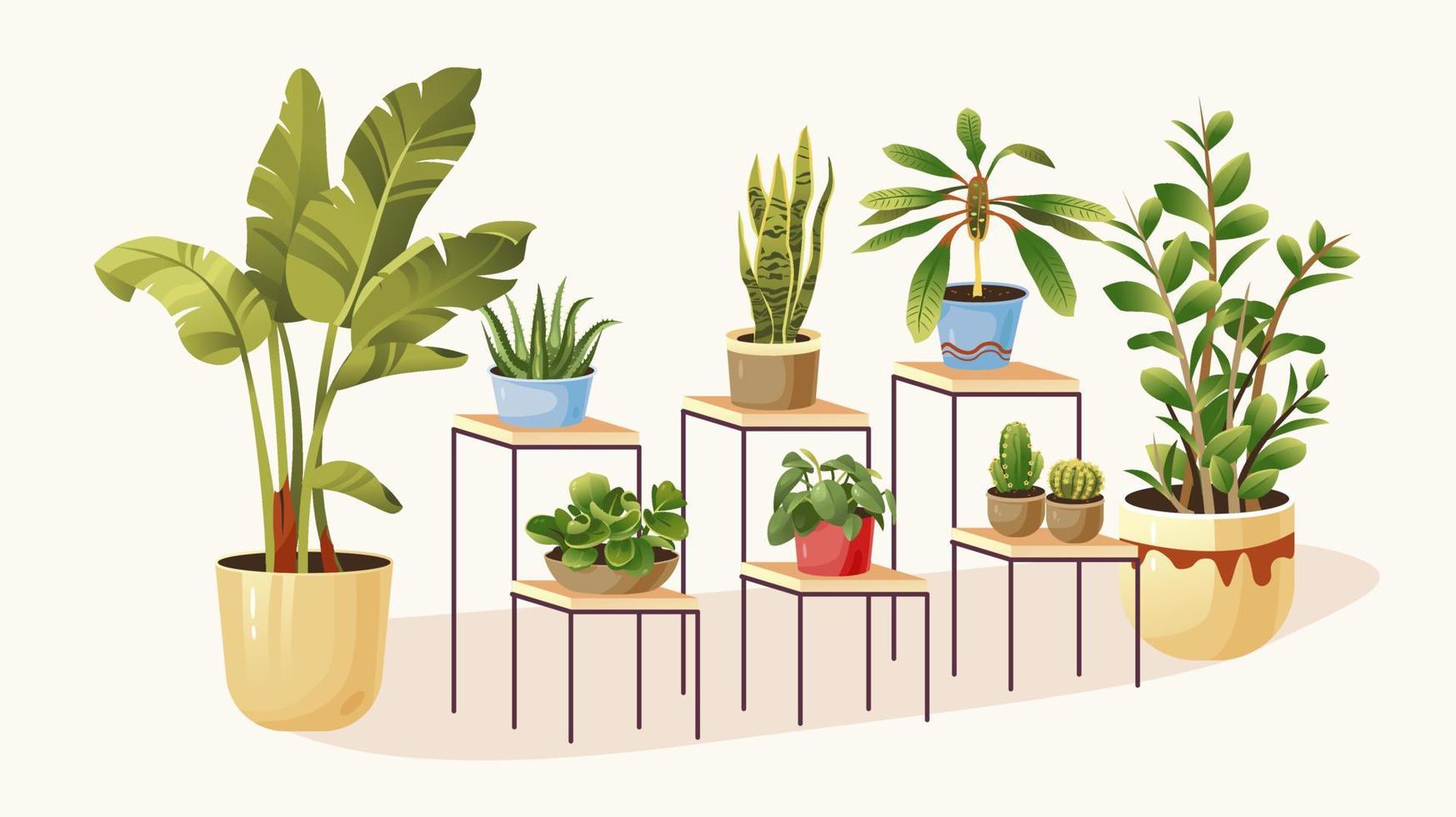 ensemble de plantes en pot. plantes d'intérieur à l'intérieur. illustration vectorielle vecteur
