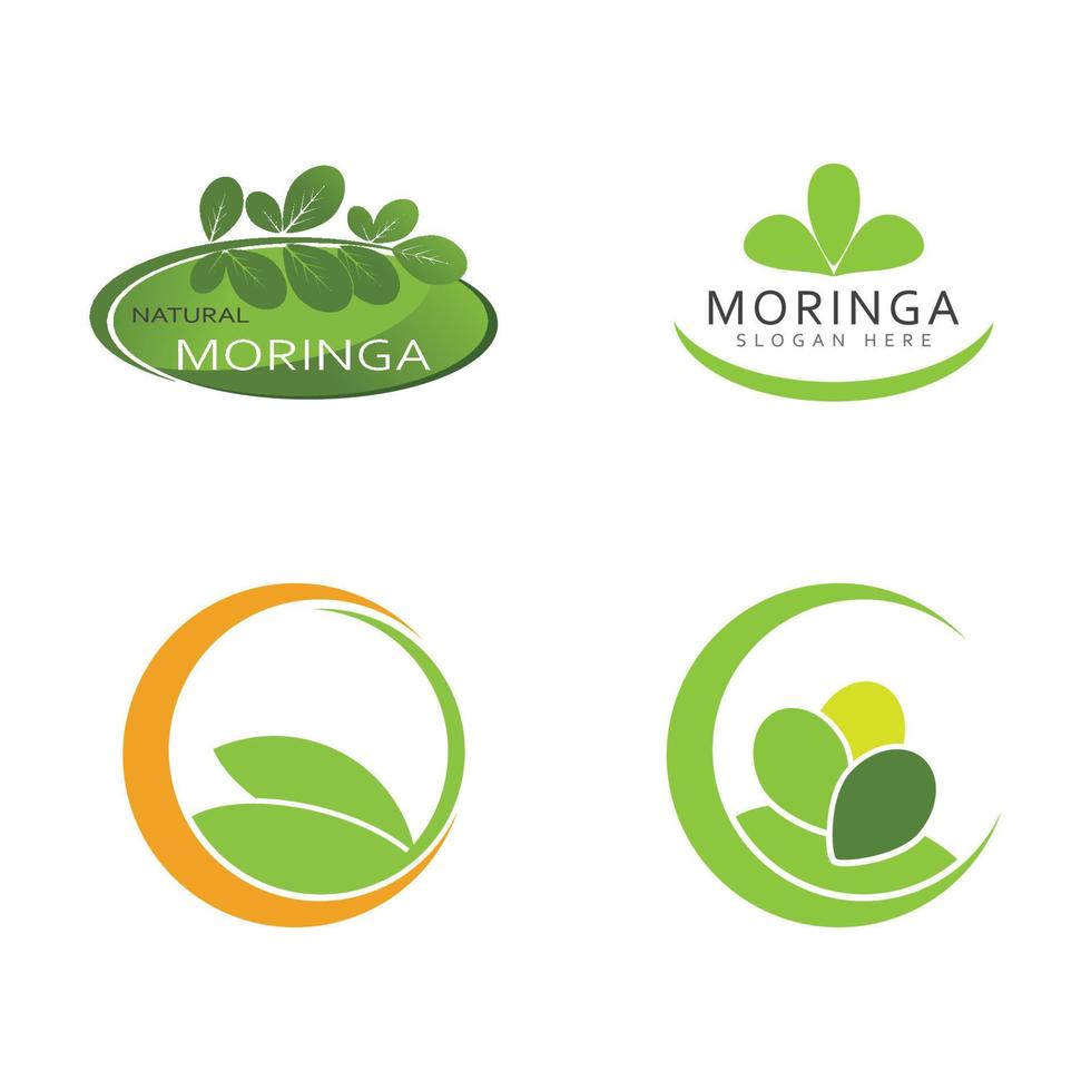 moringa feuille logo modèle vecteur symbole nature