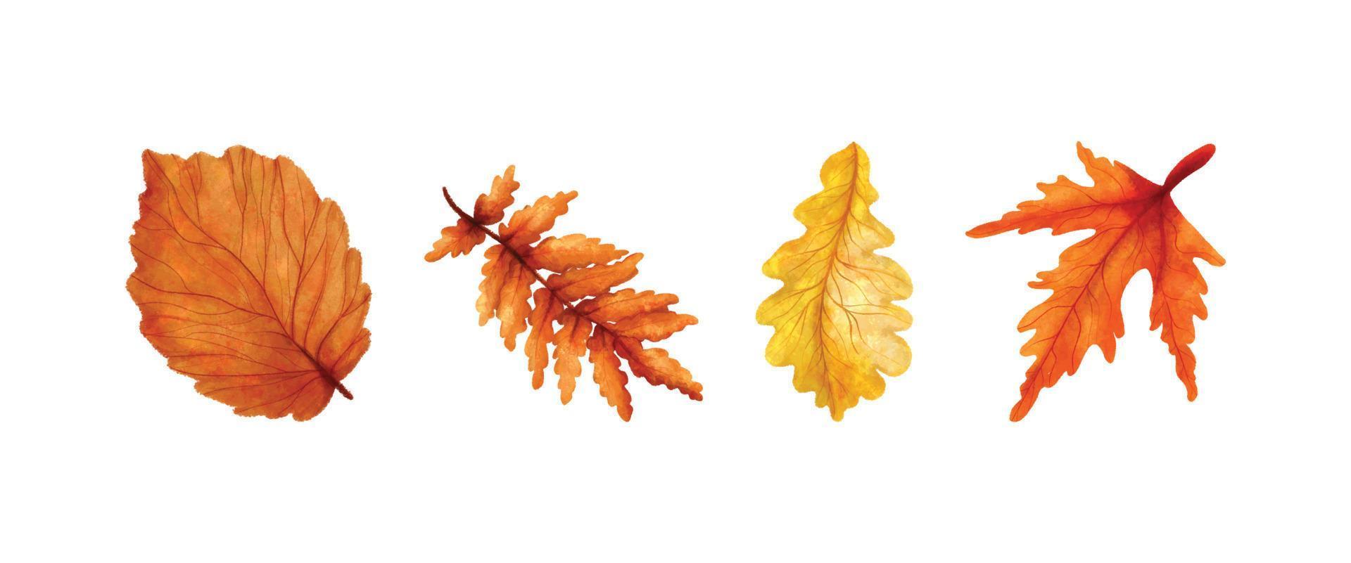 collection de feuilles d'automne aquarelle réaliste 01 vecteur