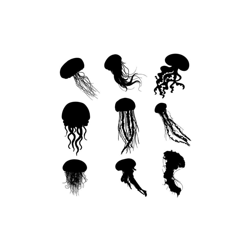 conception d'illustration de mer animal méduse vecteur