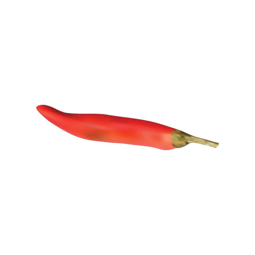 piment rouge vecteur réaliste isolé sur fond blanc.