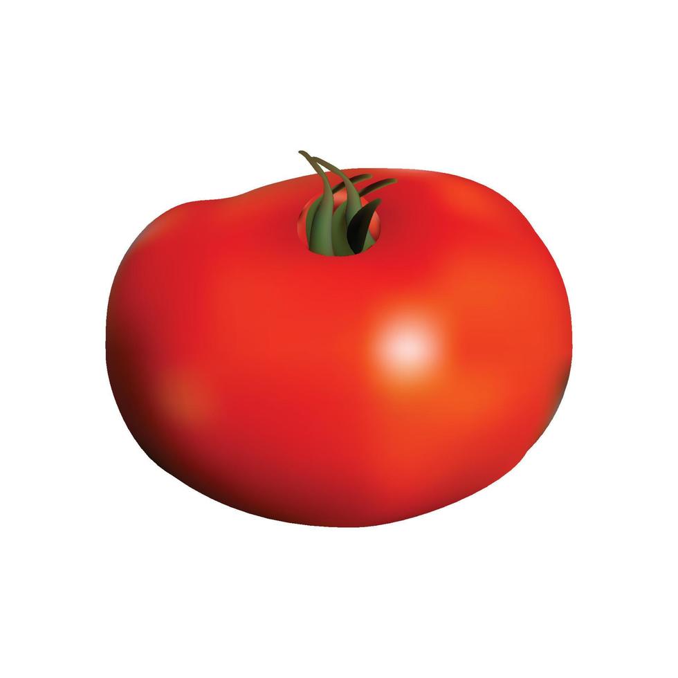 conception de vecteur de tomate mûre réaliste