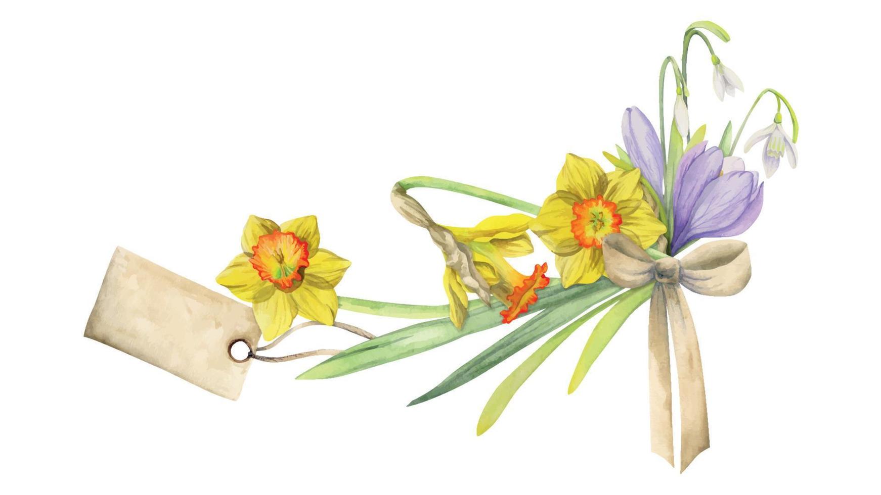 composition dessinée à la main à l'aquarelle avec fleurs printanières, crocus, perce-neige, jonquilles, arc, étiquette-cadeau. isolé sur fond blanc. pour les invitations, mariage, cartes de voeux, papier peint, impression, textile. vecteur