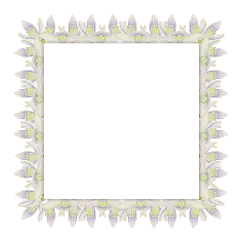 cadre carré dessiné à la main à l'aquarelle avec des fleurs de printemps, des perce-neige, des feuilles fraîches vertes. isolé sur fond blanc. conception pour les invitations, mariage, cartes de voeux, papier peint, impression, textile. vecteur