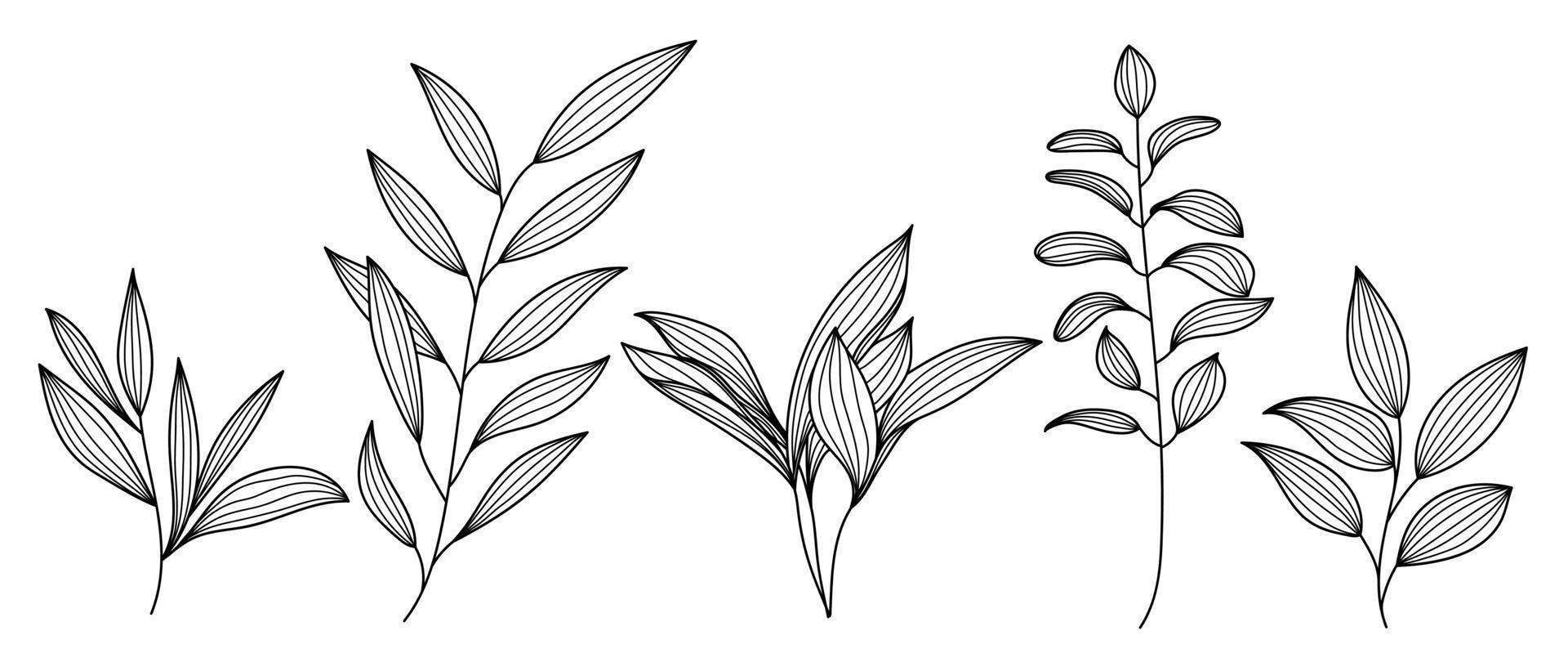 ensemble de vecteur de branche de feuille art ligne dessinée à la main. collection de branches de feuilles botaniques de style simple de contour de dessin noir blanc. illustration de conception pour impressions, logos, cosmétiques, affiches, cartes, image de marque.