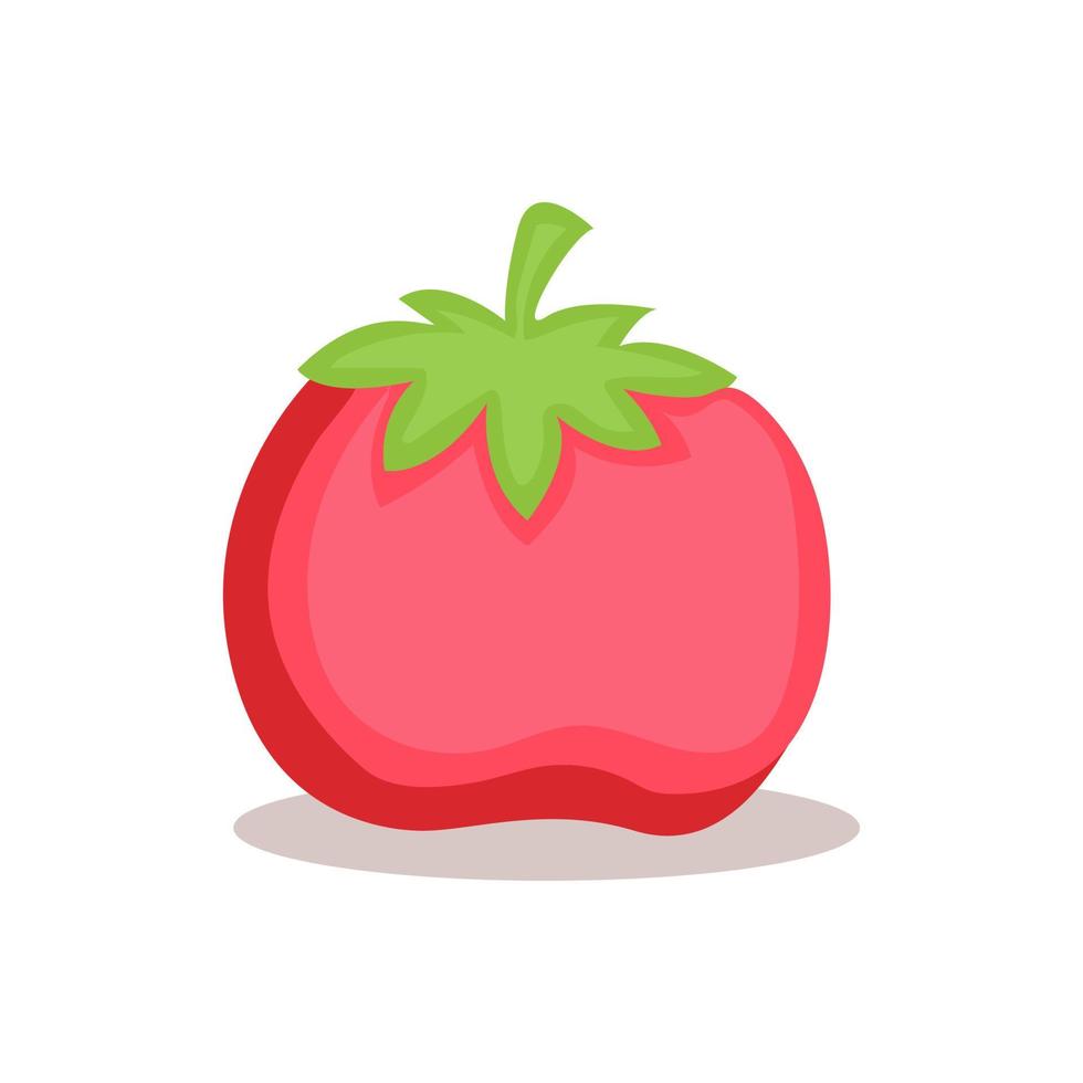 illustration vectorielle de pomme de terre, aubergine, tomate. icônes de logos vecteur