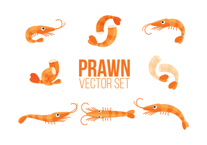 Vecteur d'icônes de crevettes