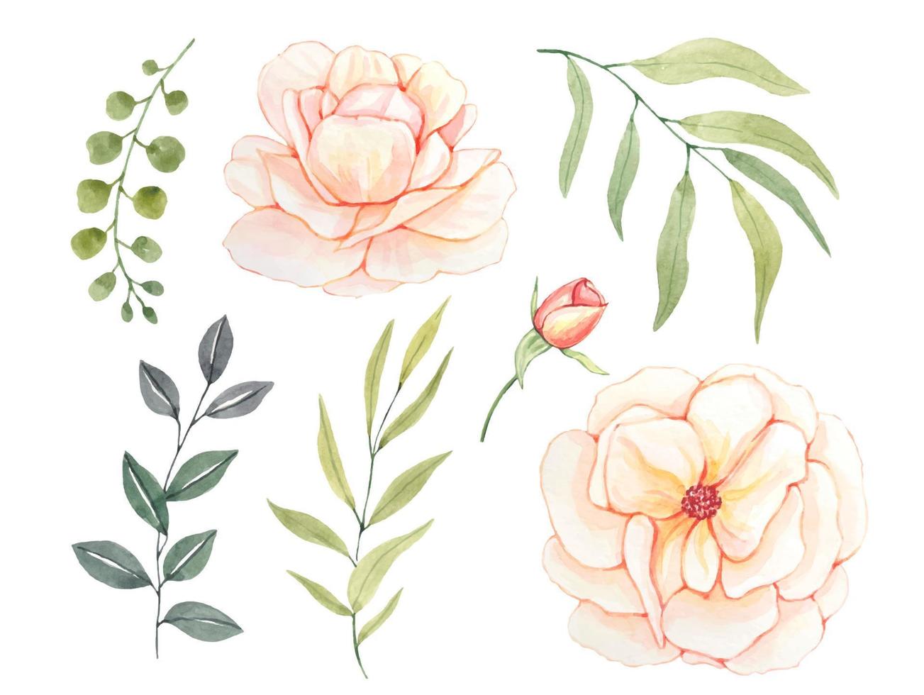 sertie de feuilles vertes et de boutons de rose, collection aquarelle vecteur