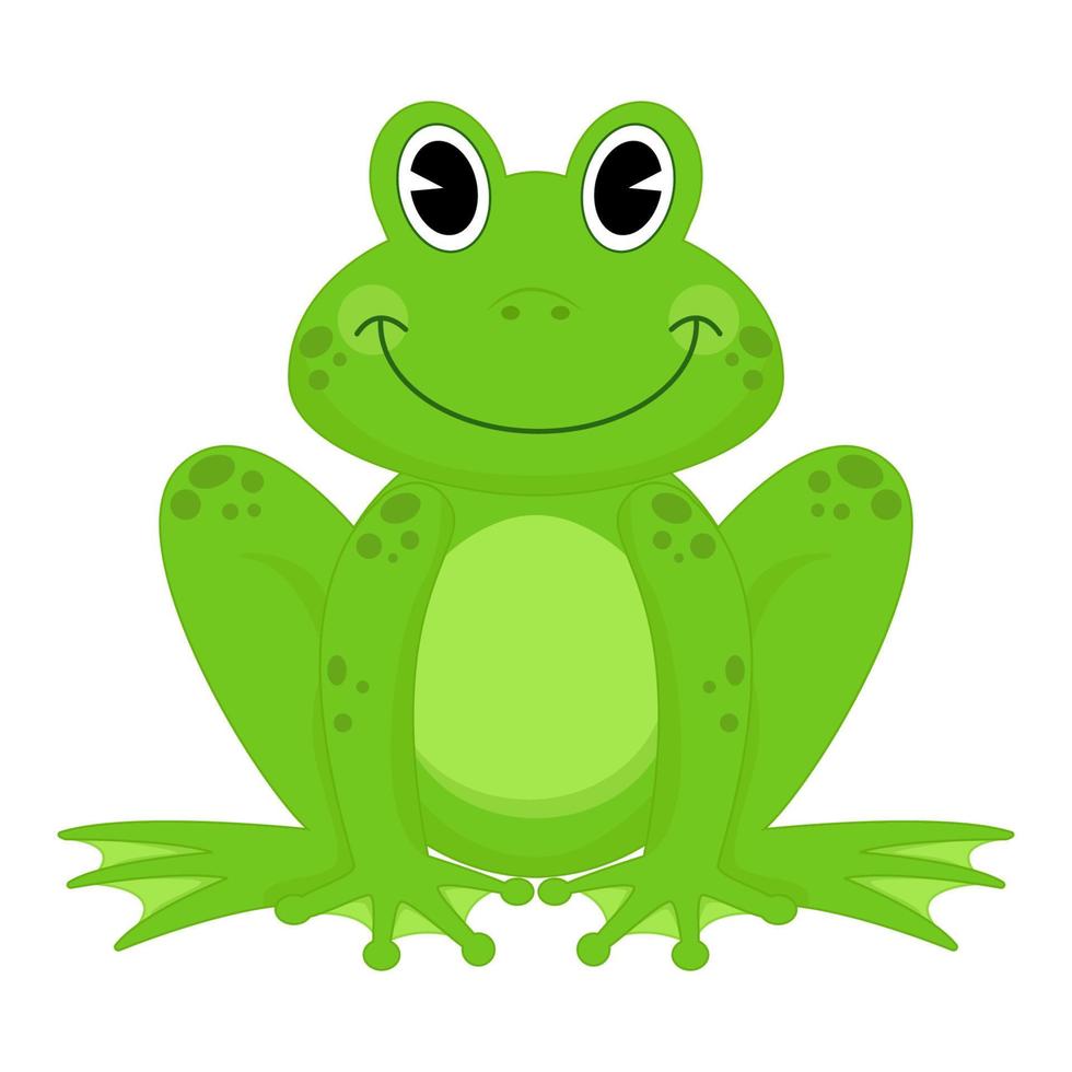 illustration animale de grenouille vecteur