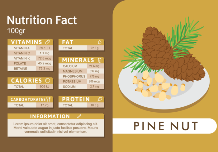 Noix de pin Valeur nutritive vecteur