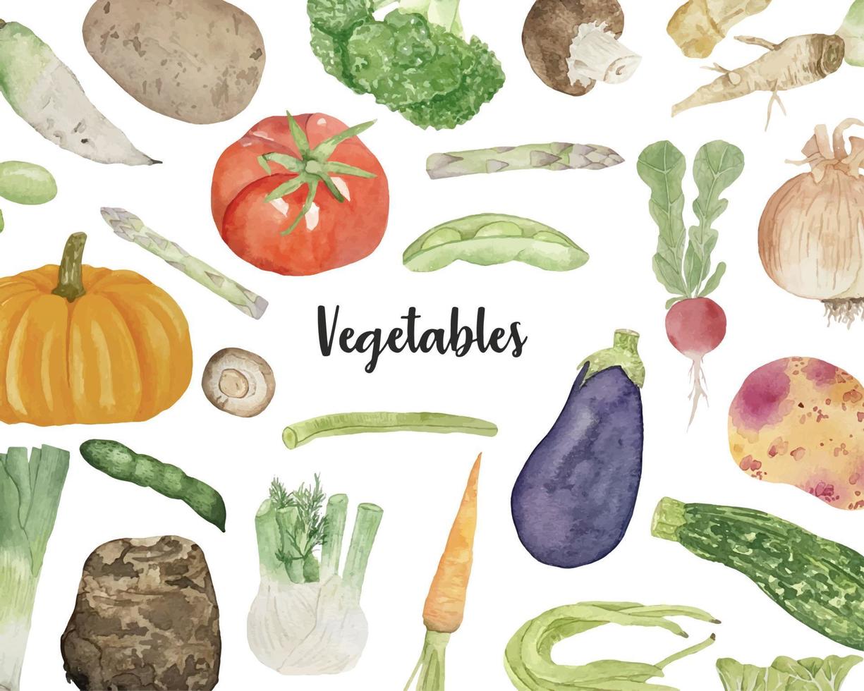 fond aquarelle avec divers légumes sur fond blanc, vue de dessus, mise en page plate. concept d'alimentation saine, arrière-plan alimentaire. cadre de légumes vecteur