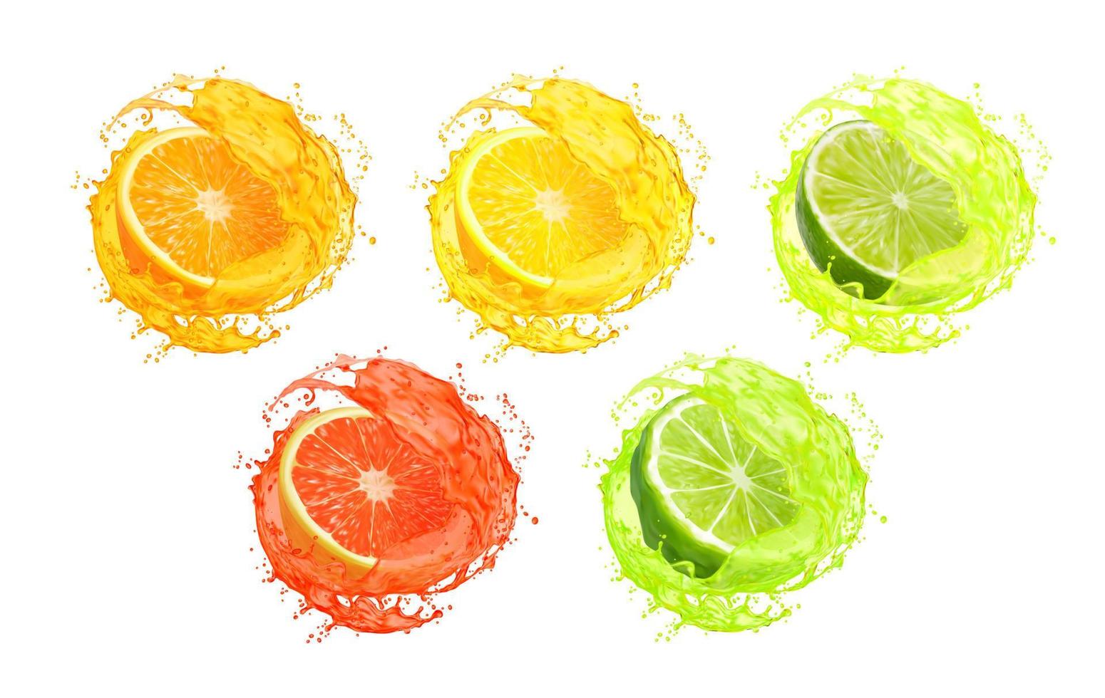 jus de citron, orange, citron vert, pamplemousse et bergamote vecteur
