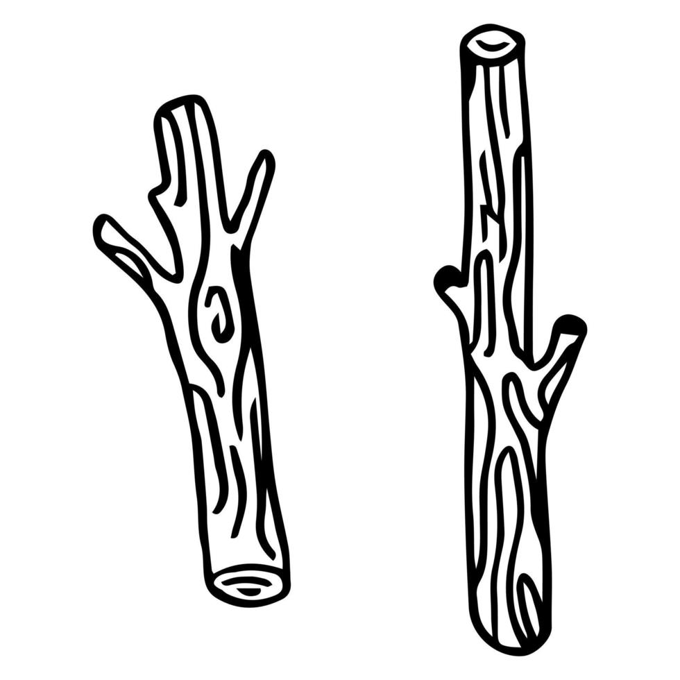 collection de branches dessinées à la main. illustration vectorielle. vecteur