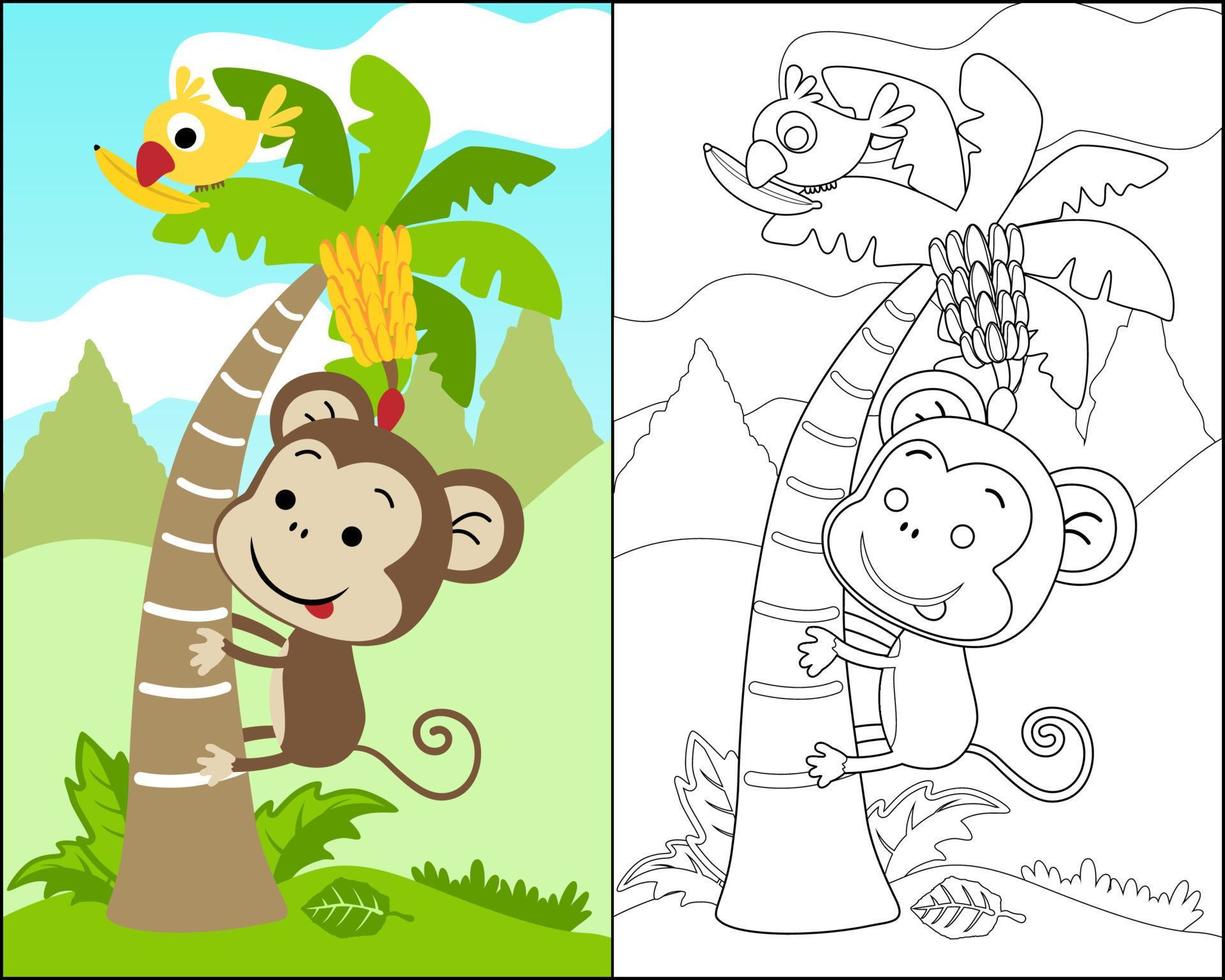 illustration vectorielle avec dessin animé de singe grimper sur un bananier, oiseau perché sur une feuille de bananier, livre de coloriage ou page. vecteur