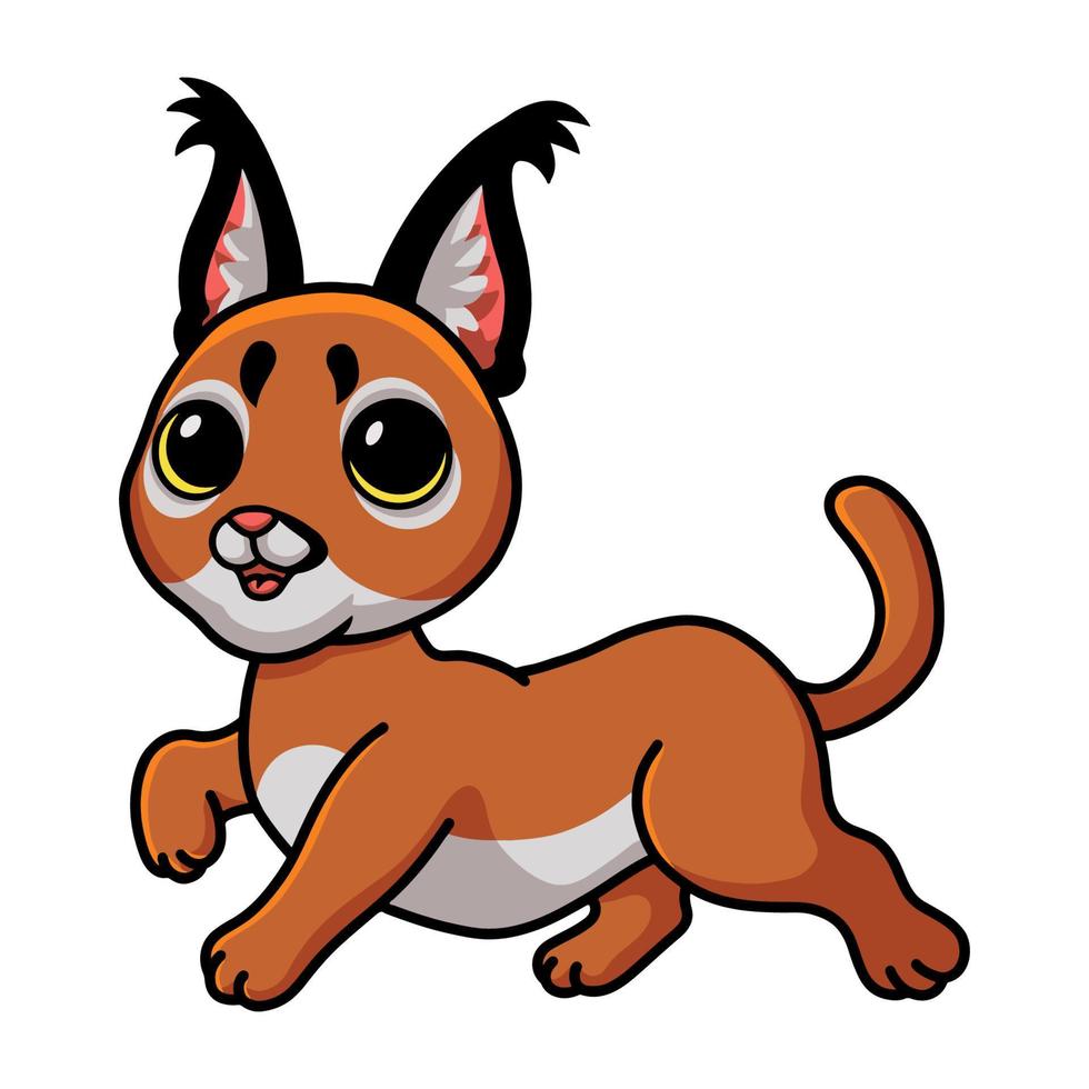 dessin animé mignon chat caracal marchant vecteur