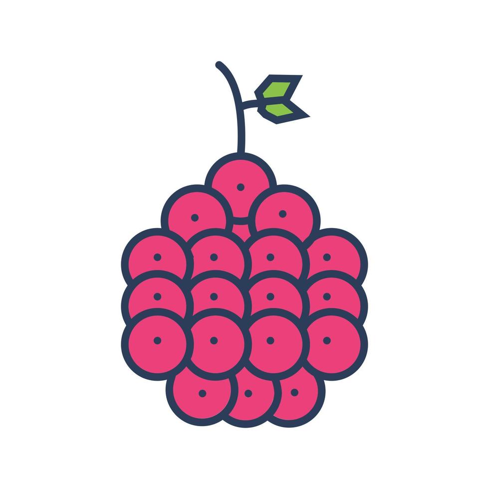 icône de vecteur de framboise