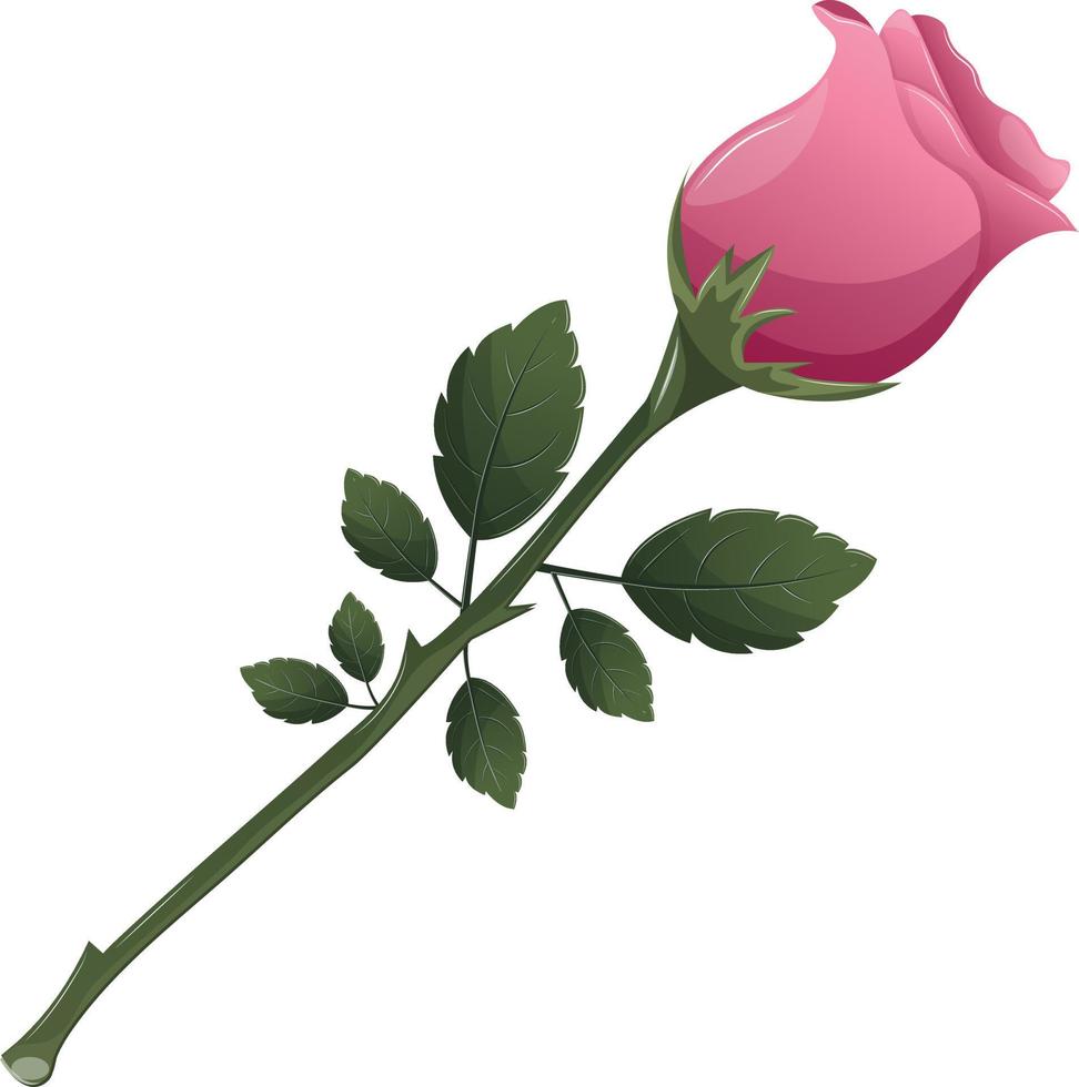 rose rose avec des feuilles vertes. décoration florale, carte de voeux saint valentin. illustration de vecteur de dessin animé. décoration de mariage et de proposition
