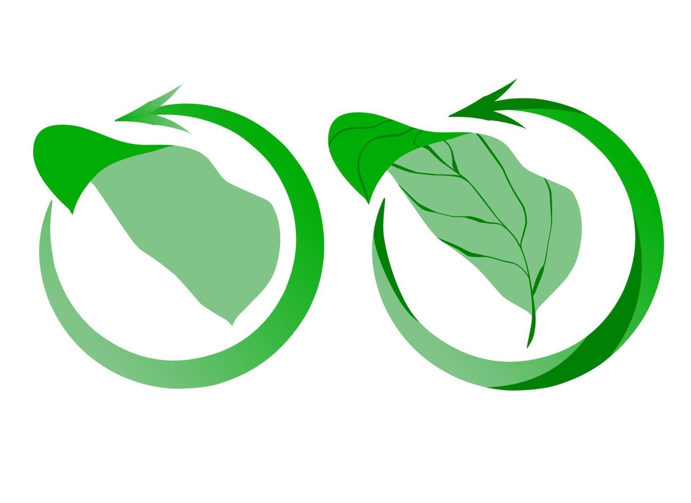 logo feuilles vecteur symbole dor design