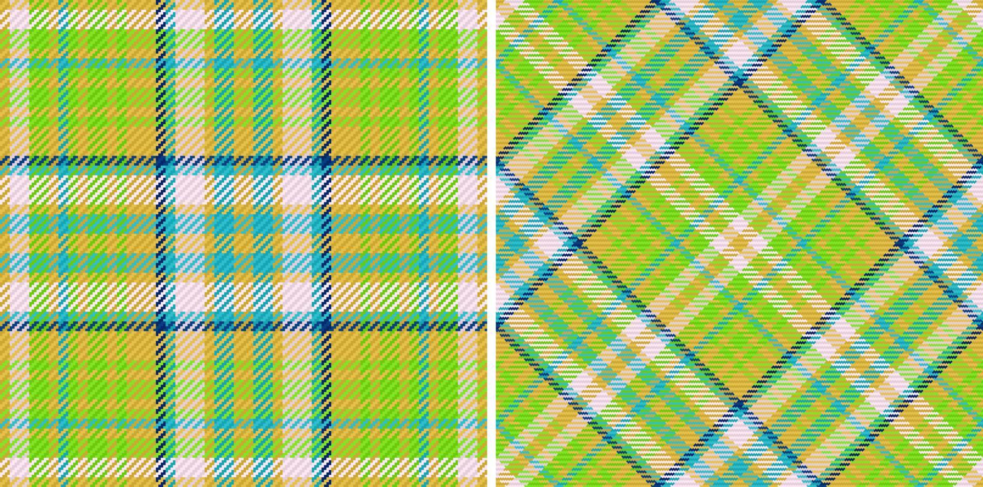 vérification de la texture du motif. tartan textile sans couture. tissu à carreaux de fond de vecteur. vecteur