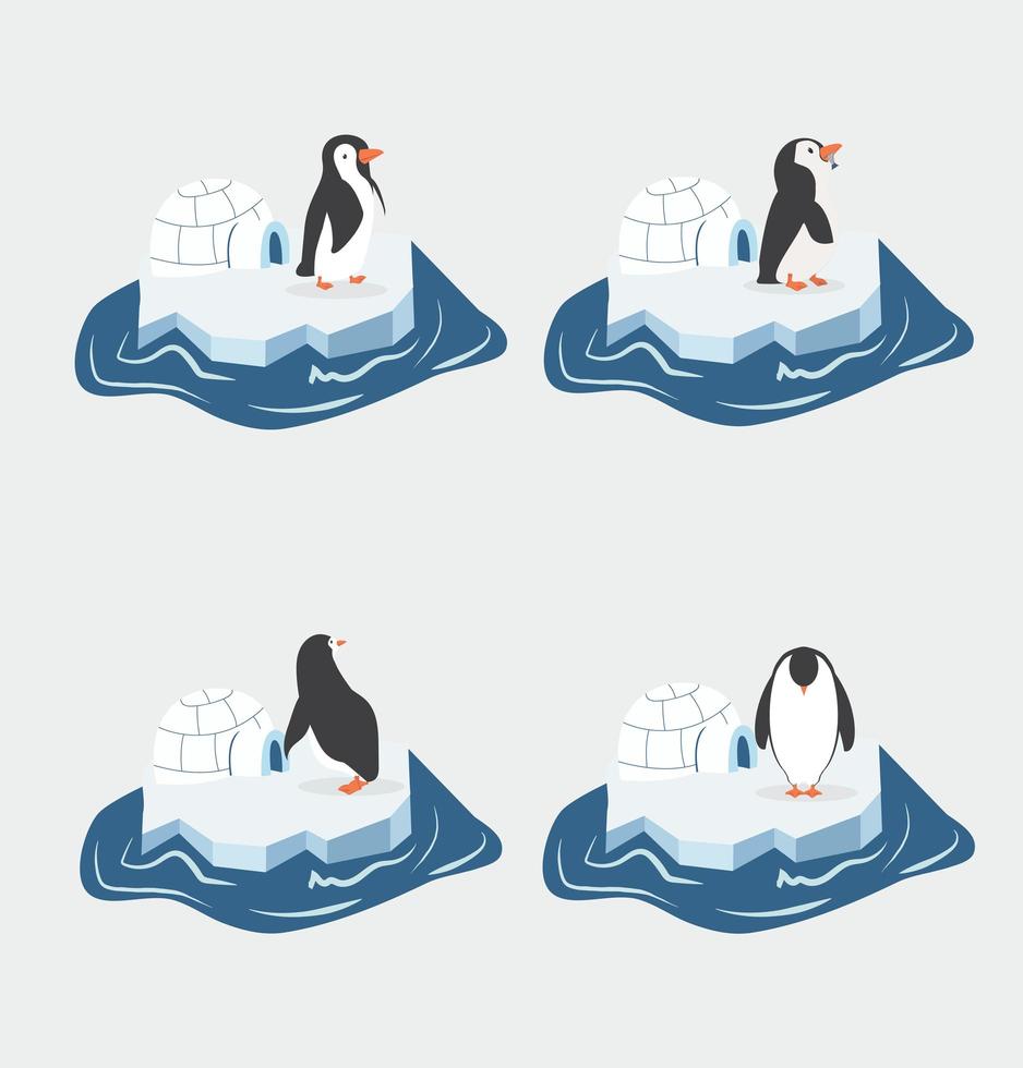 pingouins mignons sur un morceau d & # 39; iceberg vecteur