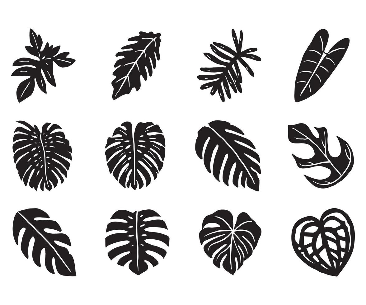 icône de doodle de feuilles de plantes tropicales vecteur