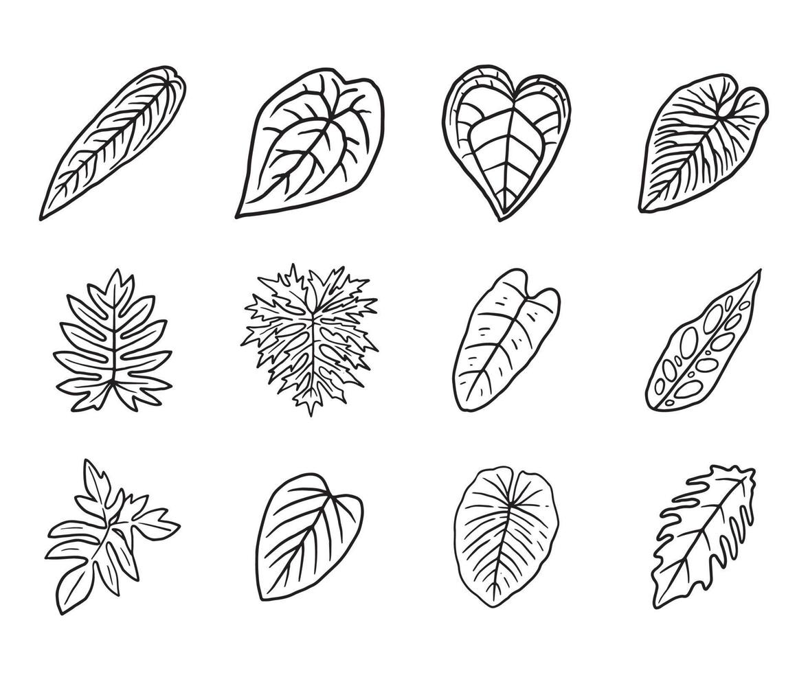 icône de doodle de feuilles de plantes tropicales vecteur