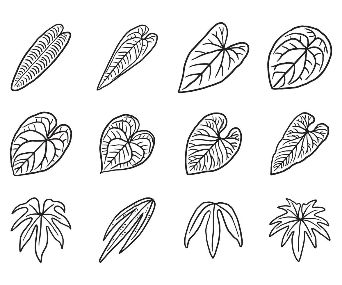 icône de doodle de feuilles de plantes tropicales vecteur