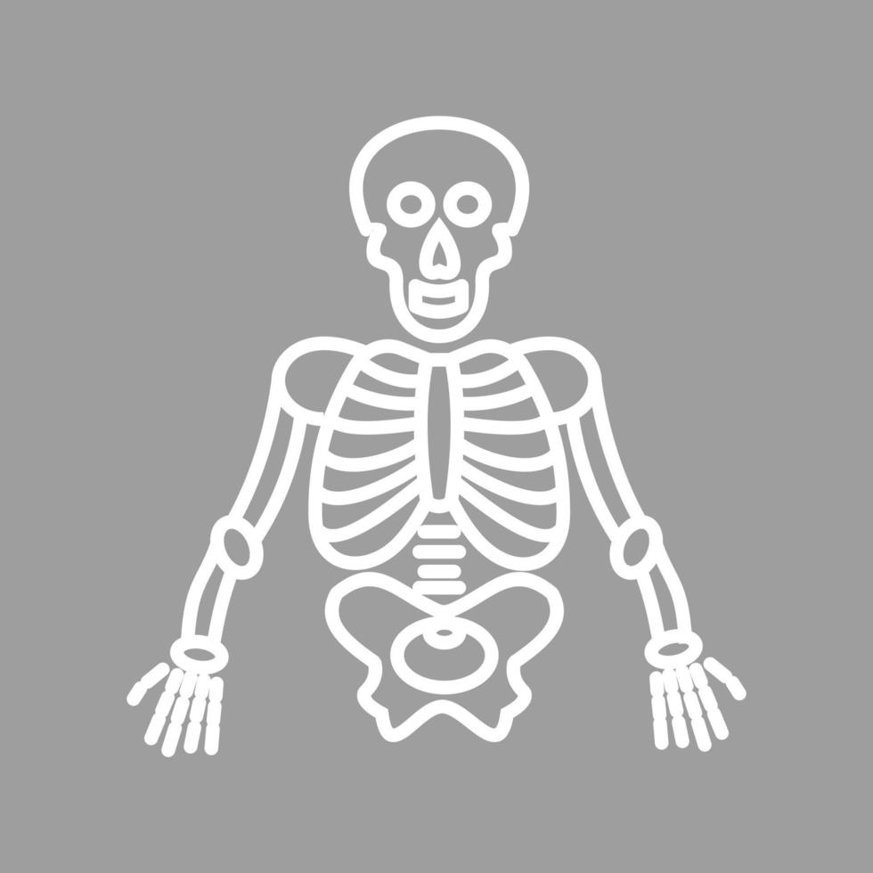 icône de fond de couleur ligne squelette humain vecteur