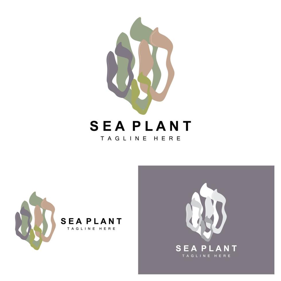 logo d'algues, conception vectorielle de plantes marines, épicerie et protection de la nature vecteur