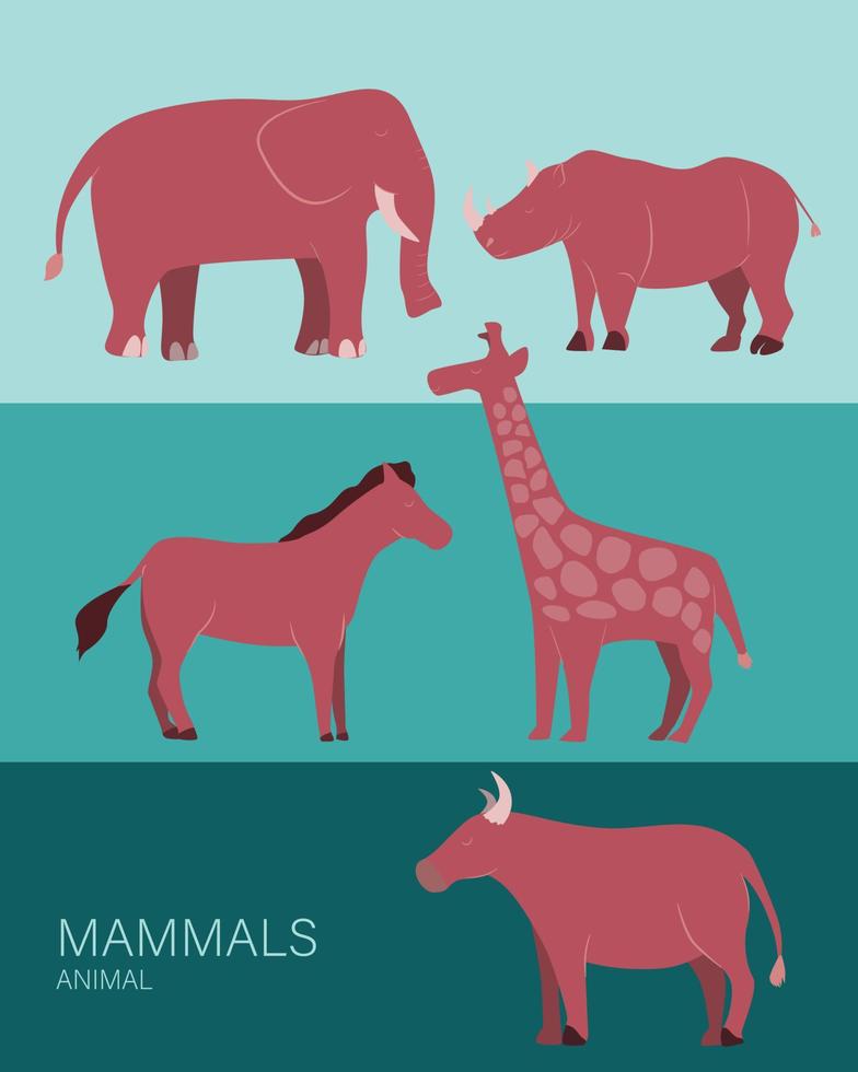 affiche de la liste des animaux mammifères vecteur