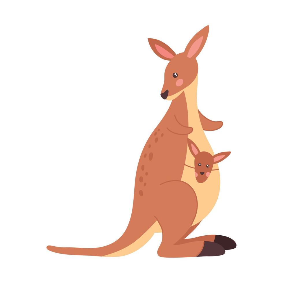 kangourou exotique australien animal vecteur