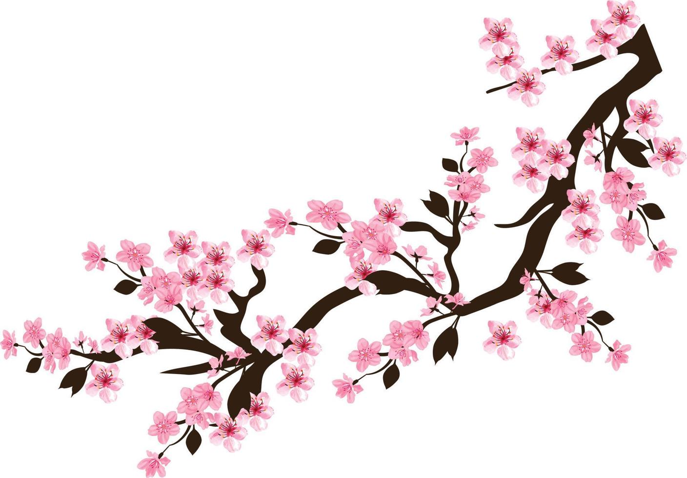 fond de vecteur libre fleur de cerisier