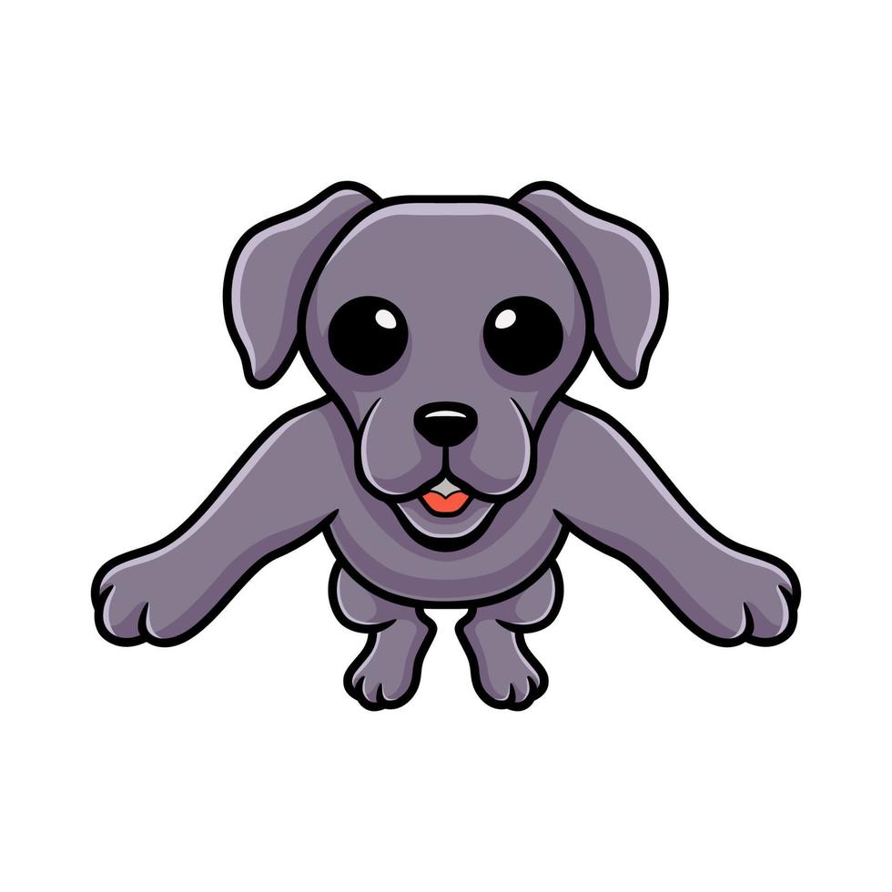 dessin animé mignon chien braque de Weimar posant vecteur
