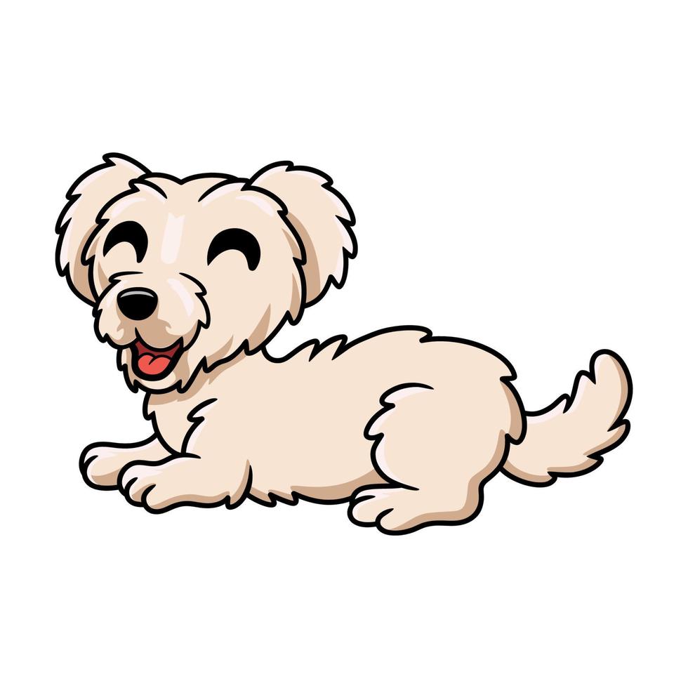 dessin animé mignon chien chiot maltais fixant vecteur