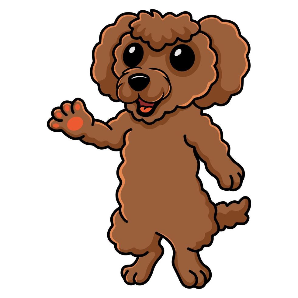 dessin animé mignon chien caniche toy agitant la main vecteur