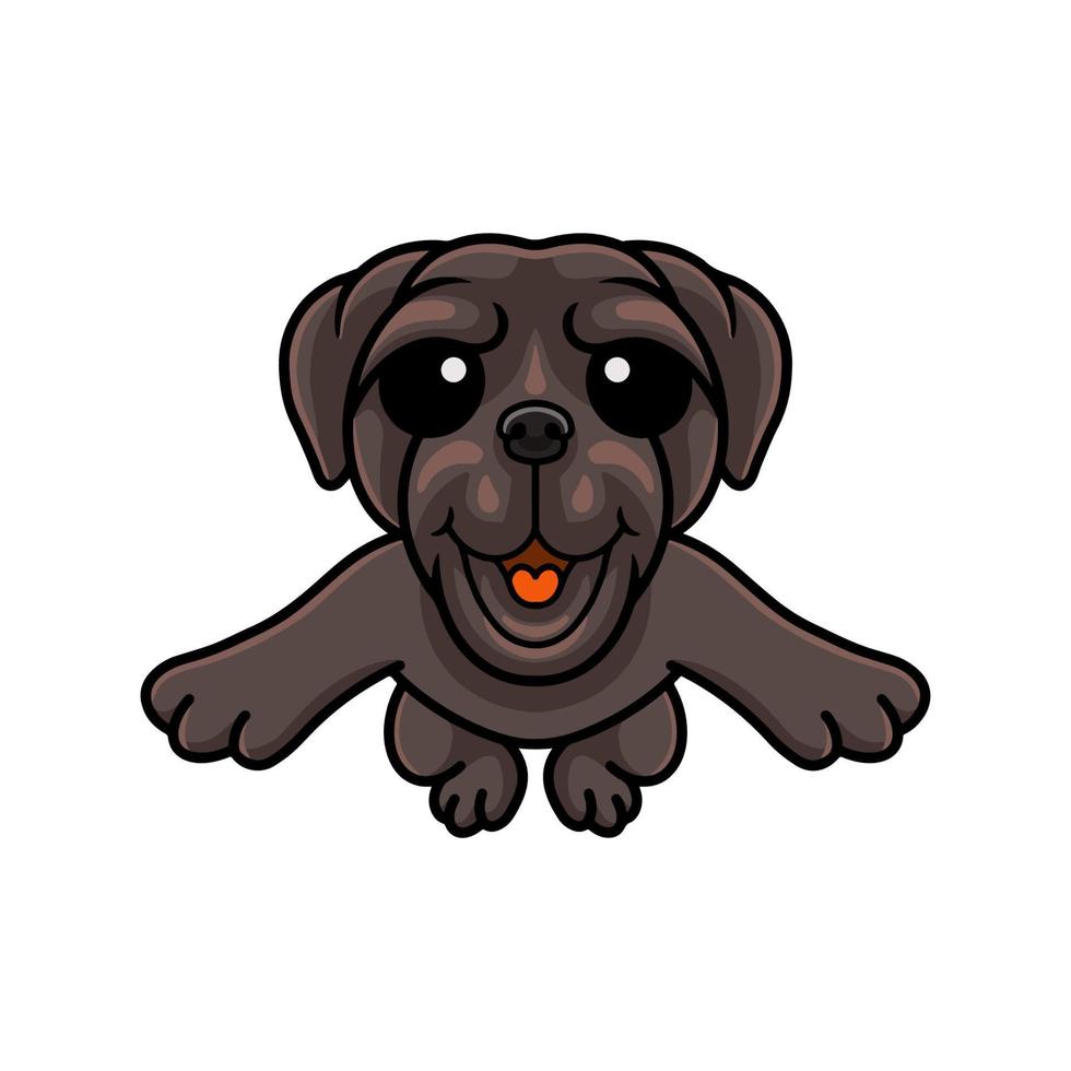 dessin animé mignon chien dogue napolitain sautant vecteur