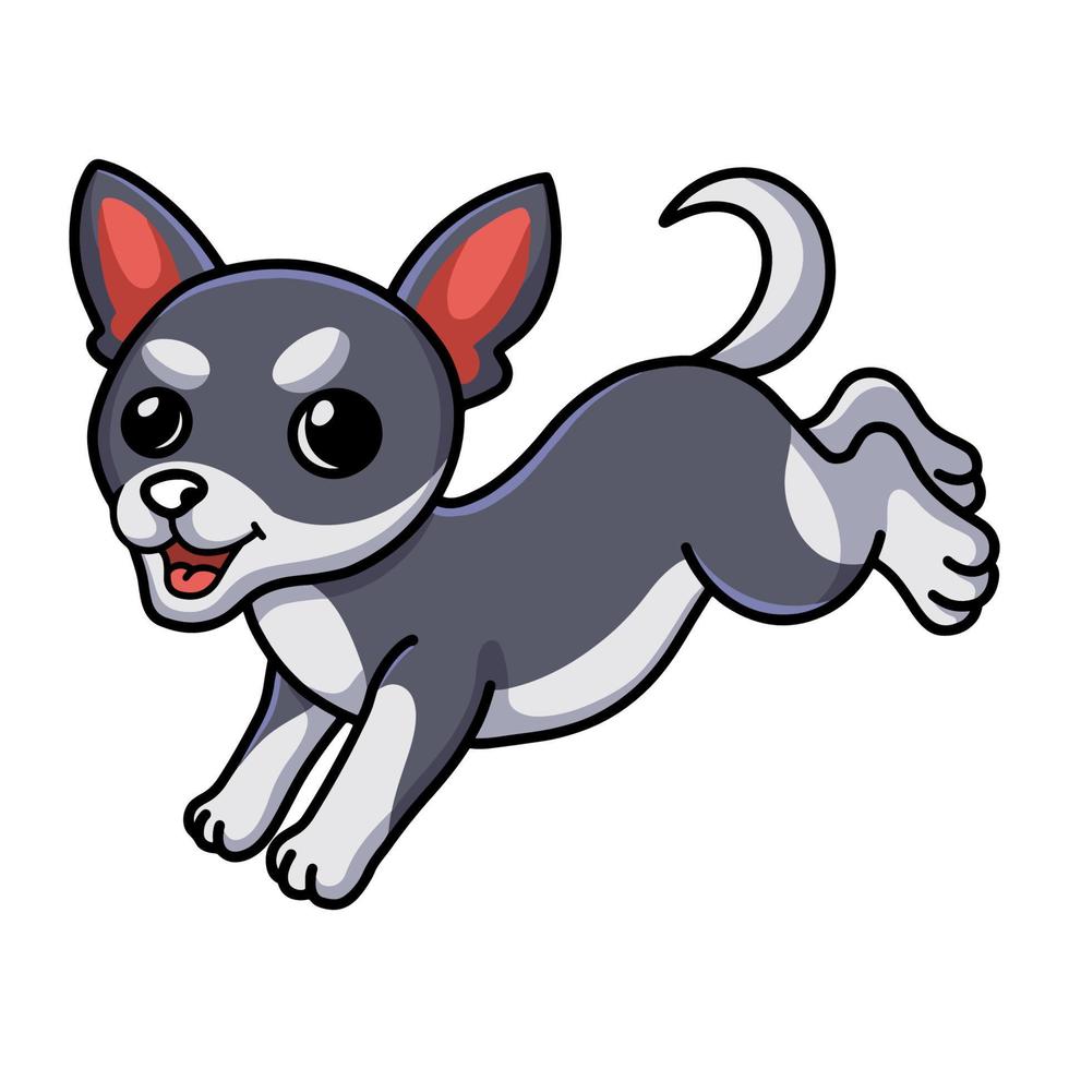 dessin animé mignon chien chihuahua en cours d'exécution vecteur