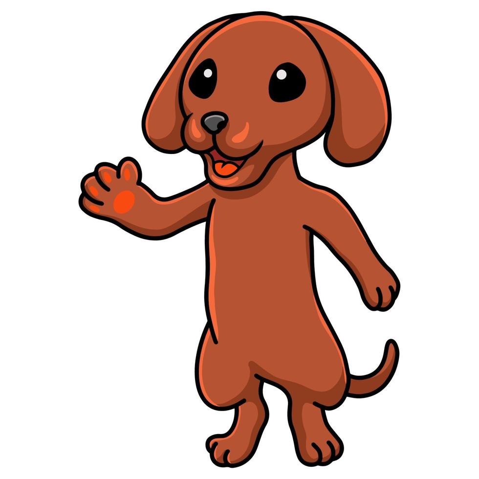 dessin animé mignon chien teckel agitant la main vecteur